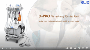 Video Zahnstation D-Pro